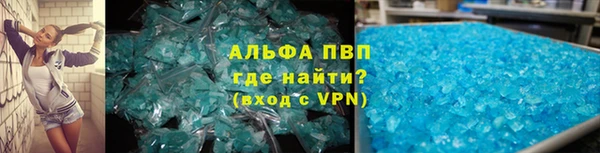 сатива Баксан