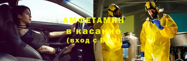 сатива Баксан