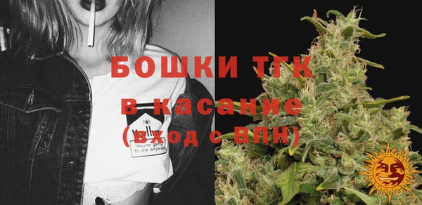 сатива Баксан