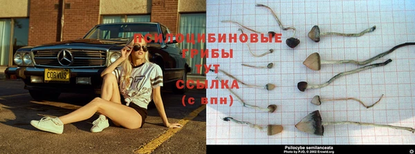 амф Балахна