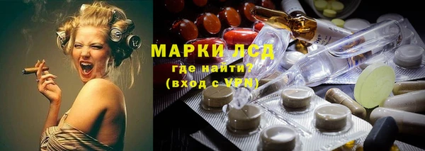 сатива Баксан