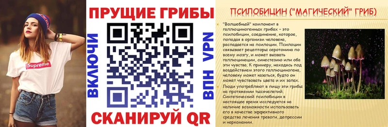 Галлюциногенные грибы Cubensis  цена наркотик  Серафимович 